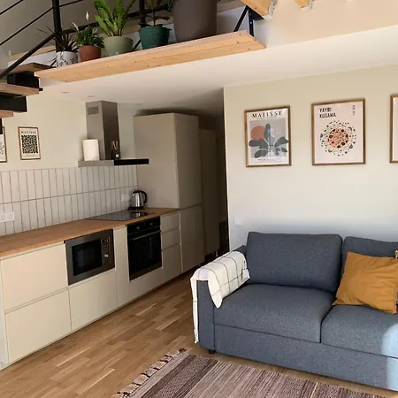 Appartamento Vilnius Cozy Loft Esterno foto
